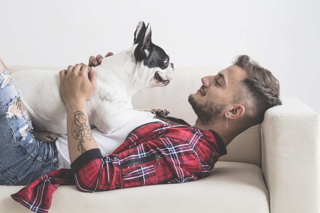 french bull dog on couch with man with earring