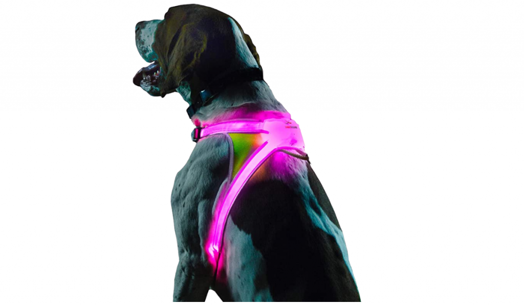 9. Noxgear Lighthound LED Reflective Harness