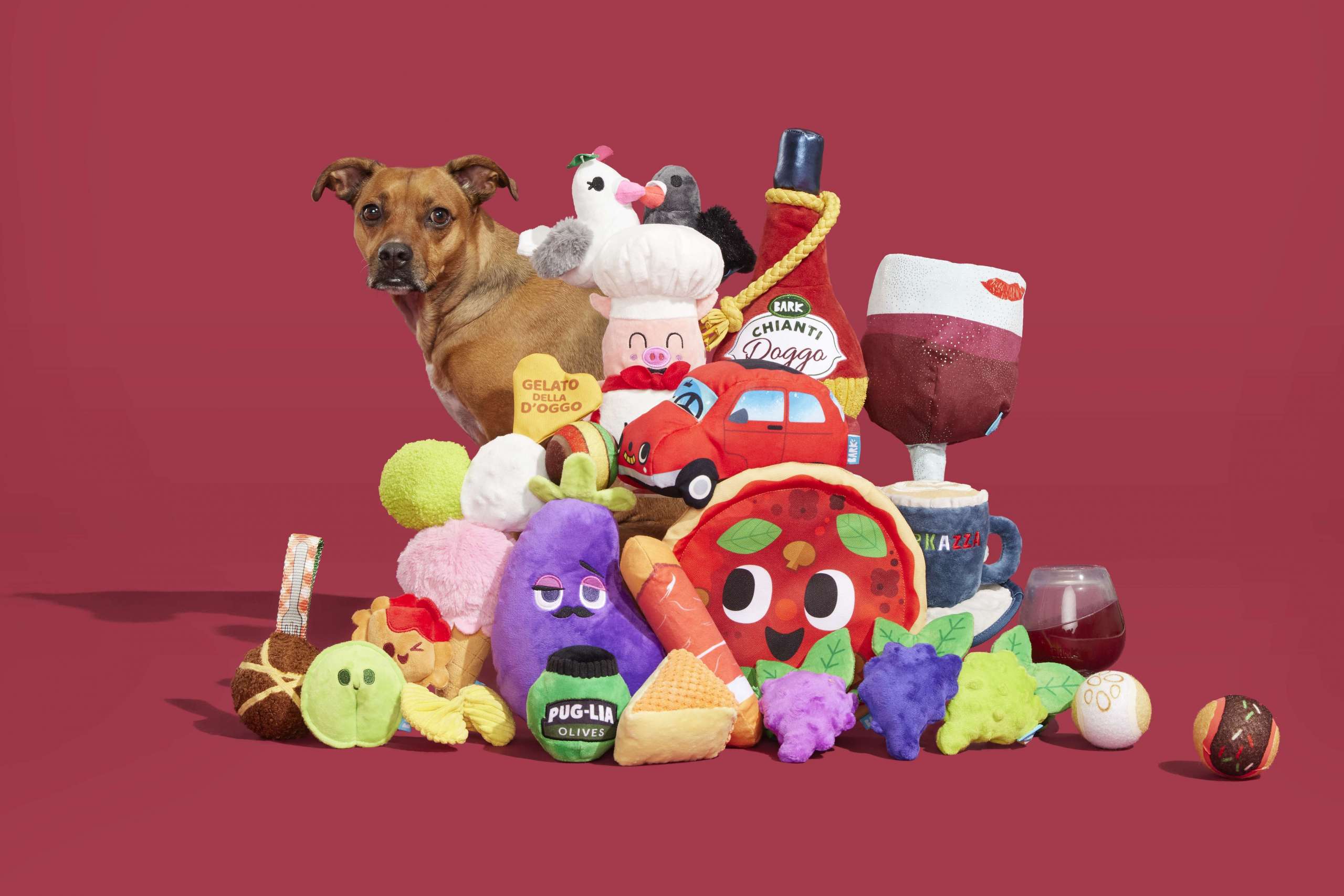 Target clearance dog products