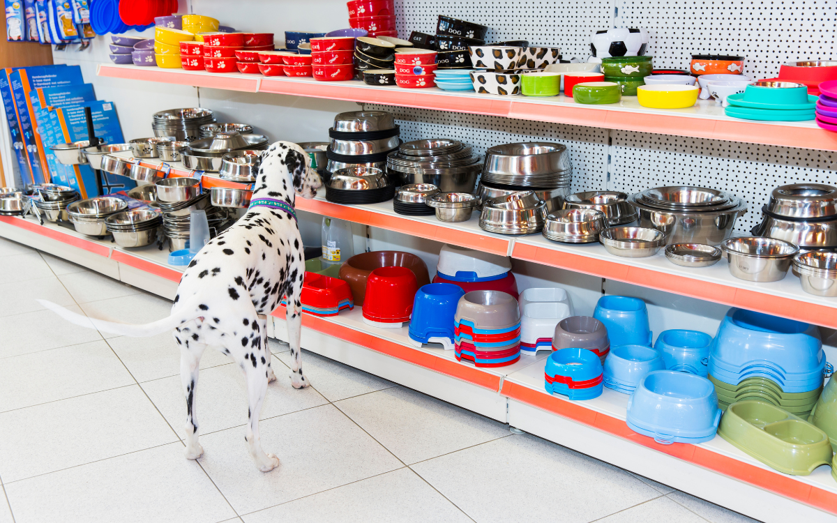 Could Your Dog's Water Bowl Make Him Sick? Here's What You Need To