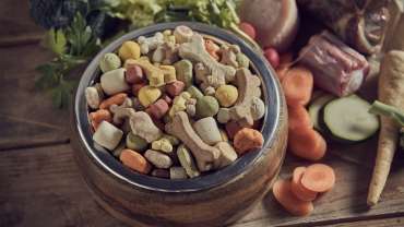 What are Superfoods for Dogs