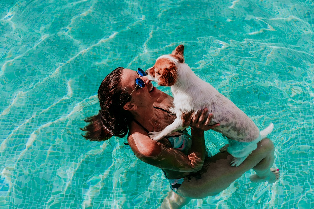 Pool Safety for Dogs 