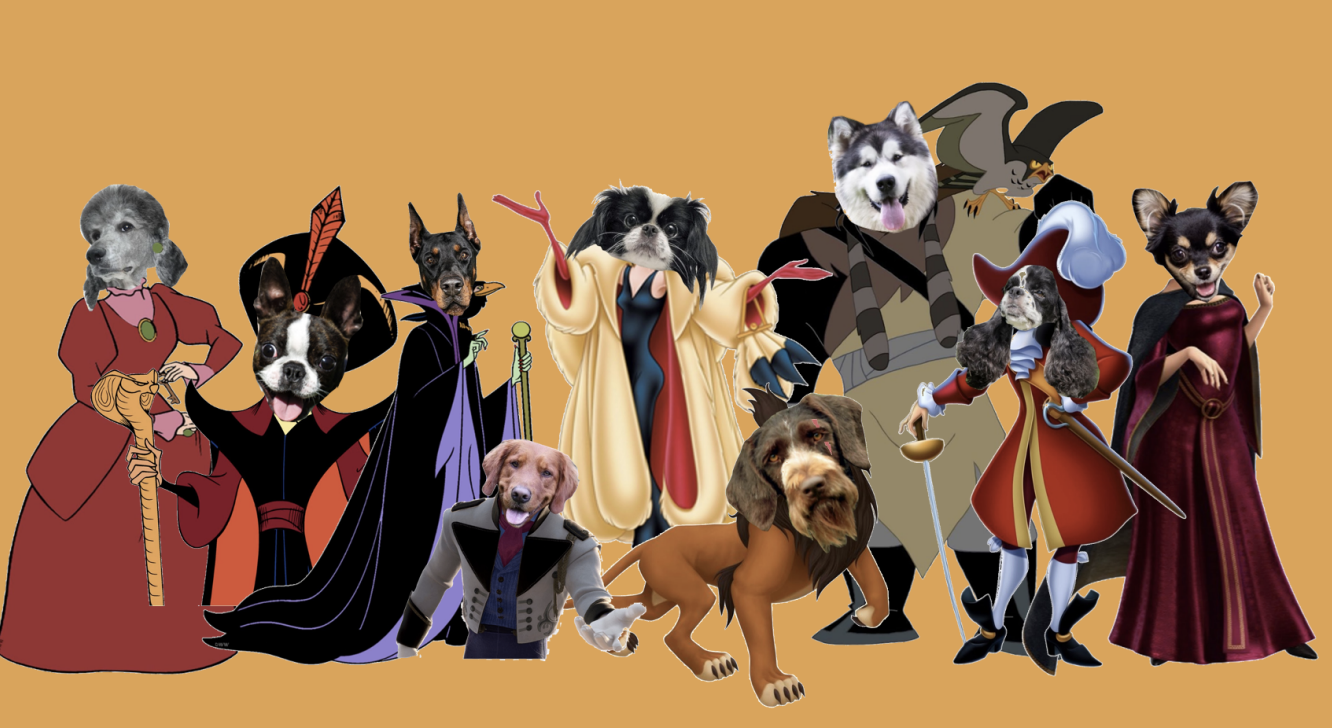 Disney Villains as Dog Breeds - BARK Post